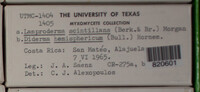 Image Associated With the Occurence